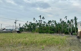 南州傳說大路邊方正農地