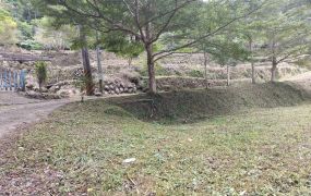 竹東上坪優質露營美地