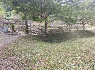竹東上坪優質露營美地