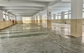 正龜山工業區挑高RC廠房(可廠登)