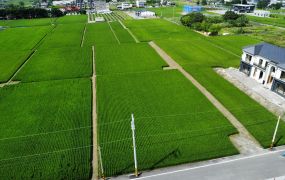 ★住商-張霞★礁溪山邊大面寬足坪農地