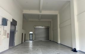 林口收租透天挑高廠房