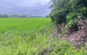 ★住商-張霞★振興都計內交流道分割農地