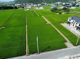 ★住商-張霞★礁溪山邊大面寬足坪農地