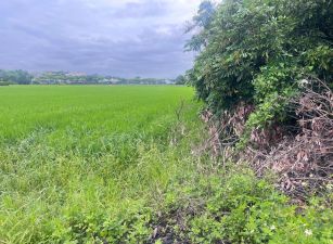 ★住商-張霞★振興都計內交流道分割農地