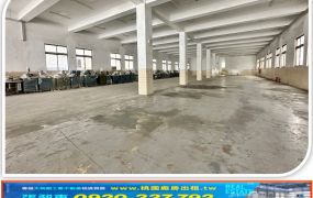 龜山工工業區挑高RC廠房