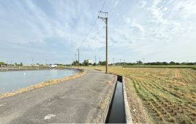 六甲林鳳營段優質農地[有水電]
