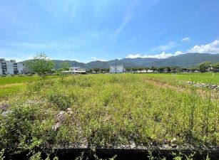 永慶許書豪★近安農溪落羽松秘境足坪農地