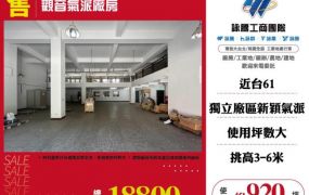 觀音氣派廠房127