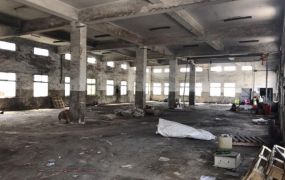 正工業區臨大馬路甲工廠房120
