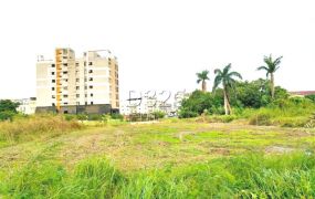 新市近光明街區段徵收農地