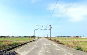 近將軍木棉花道休閒農地