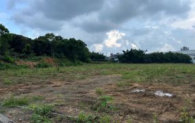 鶯歌大小坪數工業地(可分售)/新北桃園工業地廠房
