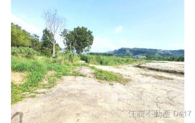 玉井市區旁2.4甲平坦農地