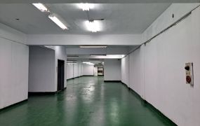 南崁工業區透天廠房(可廠登)