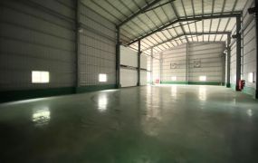 南崁20米路旁挑高物流倉(可廠登)