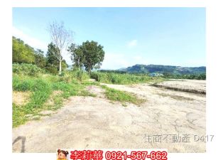 玉井市區旁2.4甲平坦農地