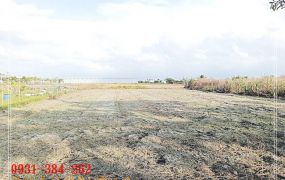 佳里南33線方正農地H。蝸牛居0931384262