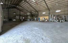 八德近市區/大面寬/挑高6米廠房