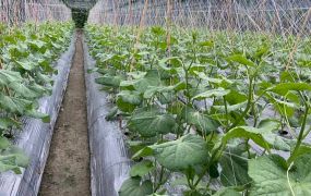 豐山太興農牧用地01-014   05-2337228