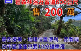海農279成功鎮天然攀岩森林浴近省道600公尺