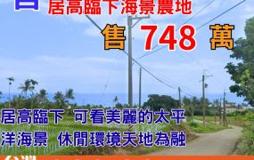 海農280_長濱竹湖國小居高臨下海景農地