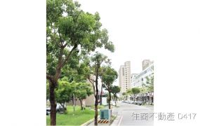 善化LM區大面寬店面+平車
