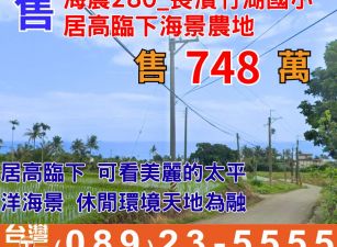 海農280_長濱竹湖國小居高臨下海景農地