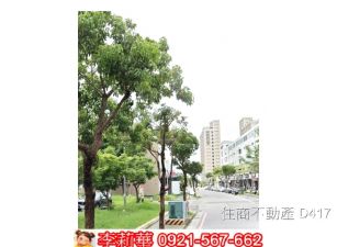 善化LM區大面寬店面+平車