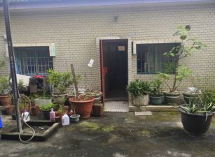 關廟龜洞鄉村乙建《未保存登記地上物》