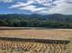 黃梨園40米方正美地