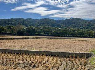 黃梨園40米方正美地
