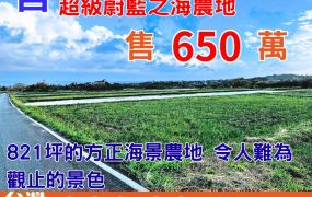 海農282_長濱奇幻美景超級蔚藍之海農地