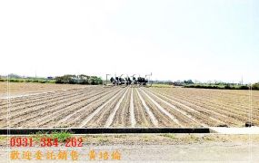 近將軍國中優質農地H。蝸牛居0931384262