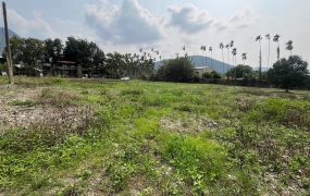 埔里近地母廟全平農地