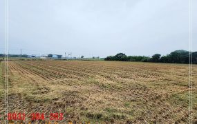 六甲林鳳營段優質農地H。蝸牛居0931384262