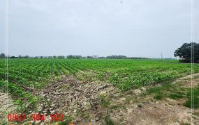 安定國8方正農地A H。蝸牛居0931384262