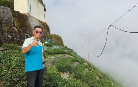 台中買屋賣房 土地王劉志忠 竹山龍鳳峽高海拔圓山段茶園