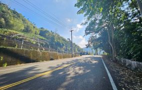【專任】鹿谷正10米光復路中湖段平坦農地