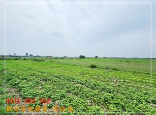 七股雙臨路方正美農地H。蝸牛居0931384262