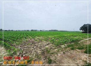 安定國8方正農地B H。蝸牛居0931384262