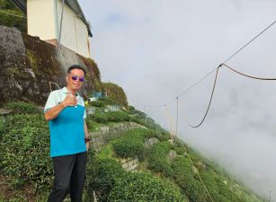 台中買屋賣房 土地王劉志忠 竹山龍鳳峽高海拔圓山段茶園