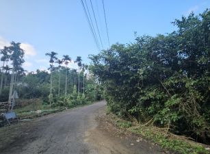 【專任】竹山筍子林段鹿子坑小段景觀農地+林地