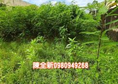 湖內方正乙工用地出租