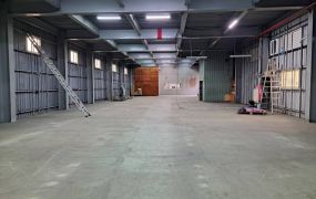 海湖貨梯廠房出租/桃園蘆竹工業地廠房