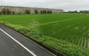 新屋農地+甲建/桃園新屋工業地廠房