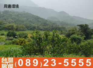 海農278_成功山居農地