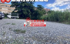 台東房地產/ 蘑菇村旁方正建地