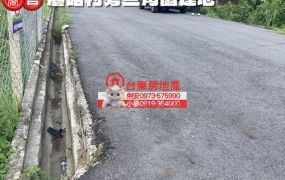 台東房地產 / 蘑菇村旁三角窗建地