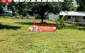 台東房地產 / 鹿野方正雙面路建地